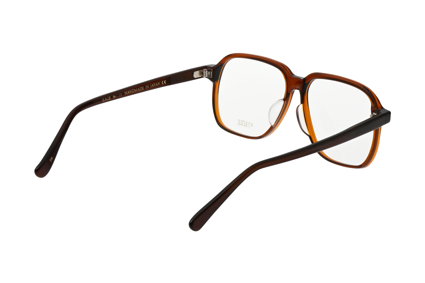 カゲメガネのブラウン斜め後ろ